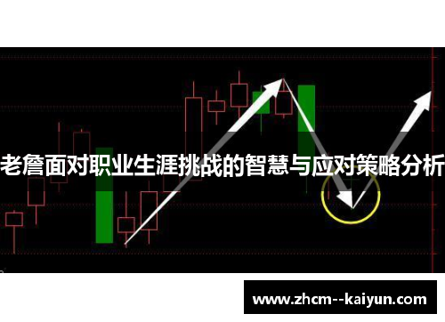 老詹面对职业生涯挑战的智慧与应对策略分析