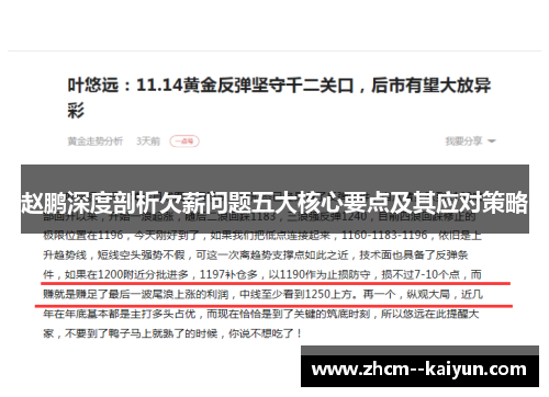 赵鹏深度剖析欠薪问题五大核心要点及其应对策略 赵鹏深度剖析欠薪问题五大核心要点及其应对策略