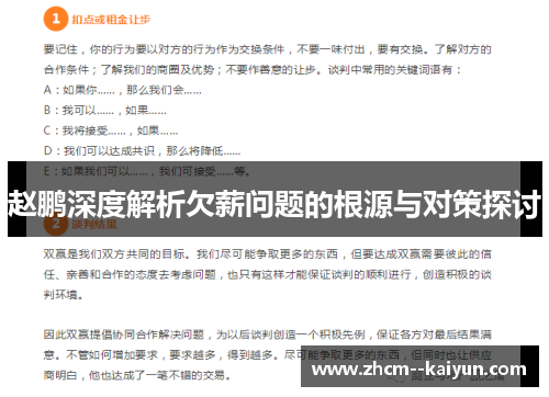 赵鹏深度解析欠薪问题的根源与对策探讨