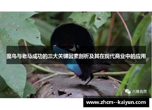 魔鸟与老马成功的三大关键因素剖析及其在现代商业中的应用